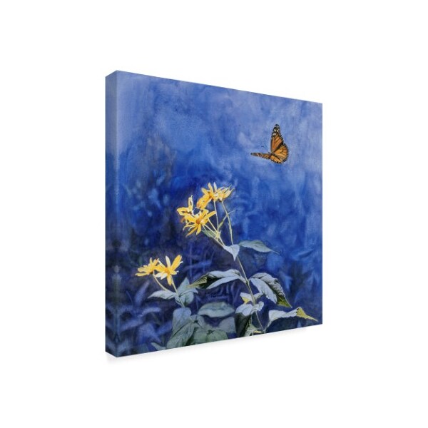 Rusty Frentner 'Monarch Butterfly' Canvas Art,24x24